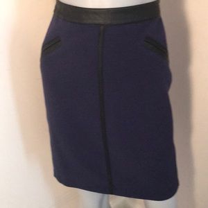 Professional Navy Blue Skirt